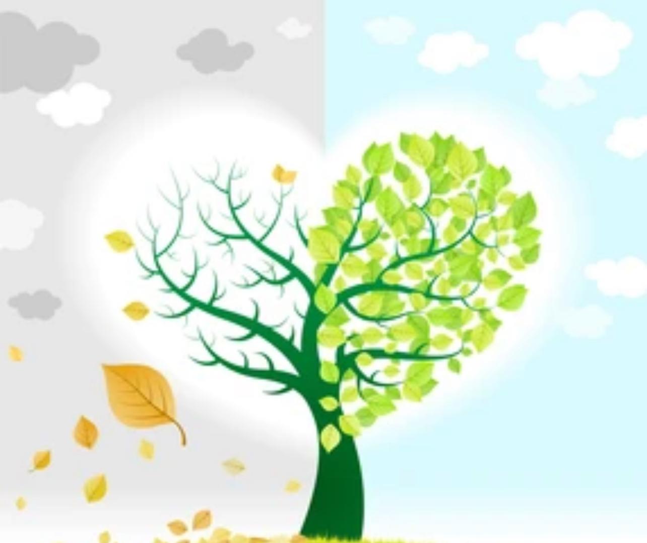 Our Vision for The Gambia